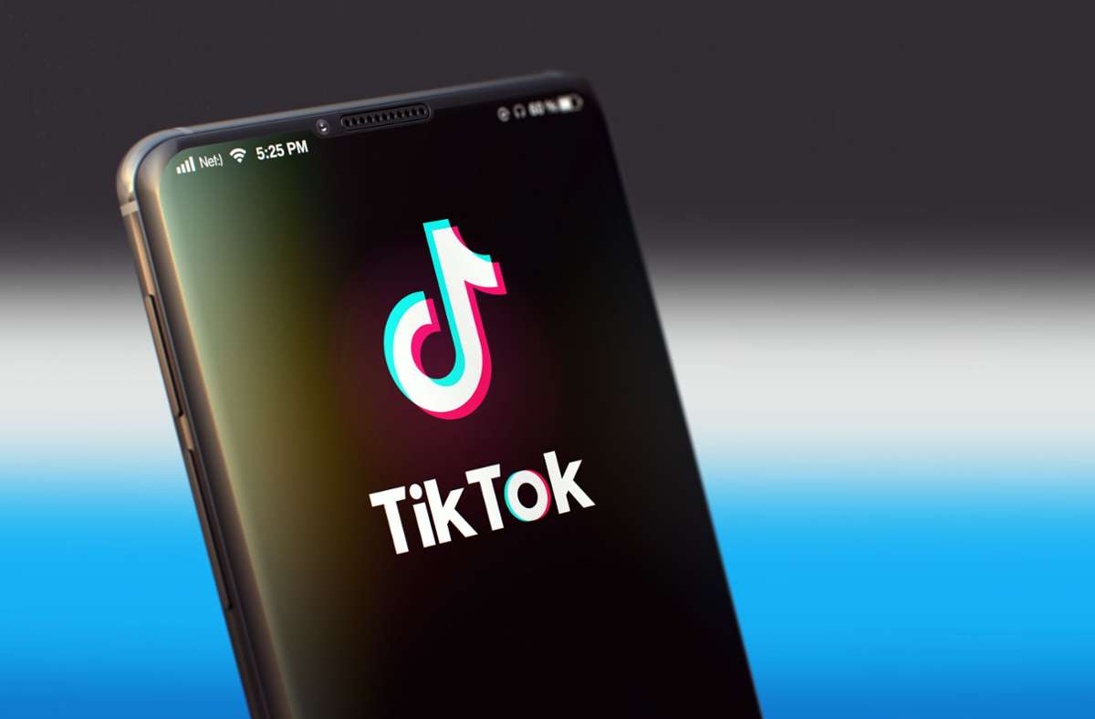 TikTok erfreut sich bei der jungen Generation großer Beliebtheit. Foto: PantherMedia/Illia Uriadnikov