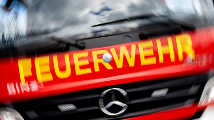 Feuerwehr Neustadt: Jeder Zweite bei der Feuerwehr ist Maschinist