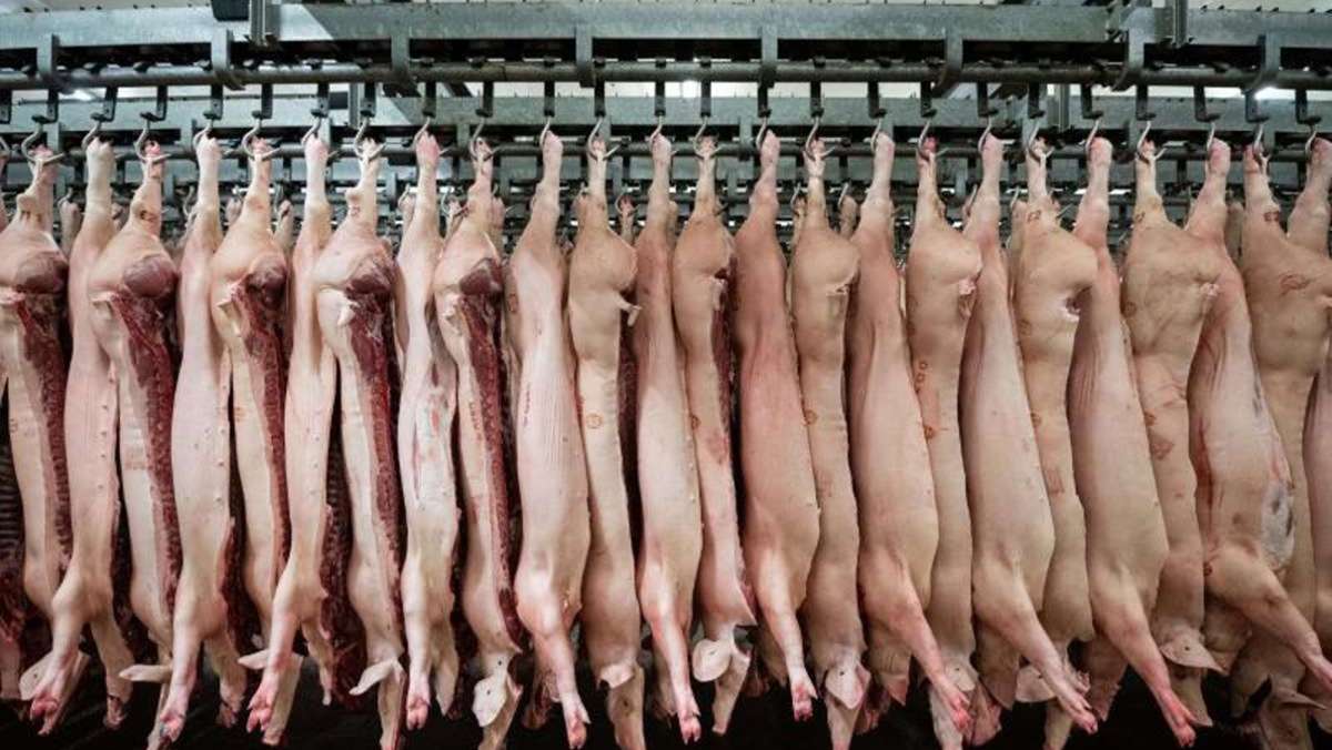 Ekelfund auf Parkplatz: Schweinekopf und Innereien illegal entsorgt