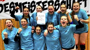 Volleyball, Landesmeisterschaft: Beckerfaust-Übungsstunden in Sonneberg