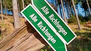 Gehlberg - Ein Bergdorf sucht seinen Weg