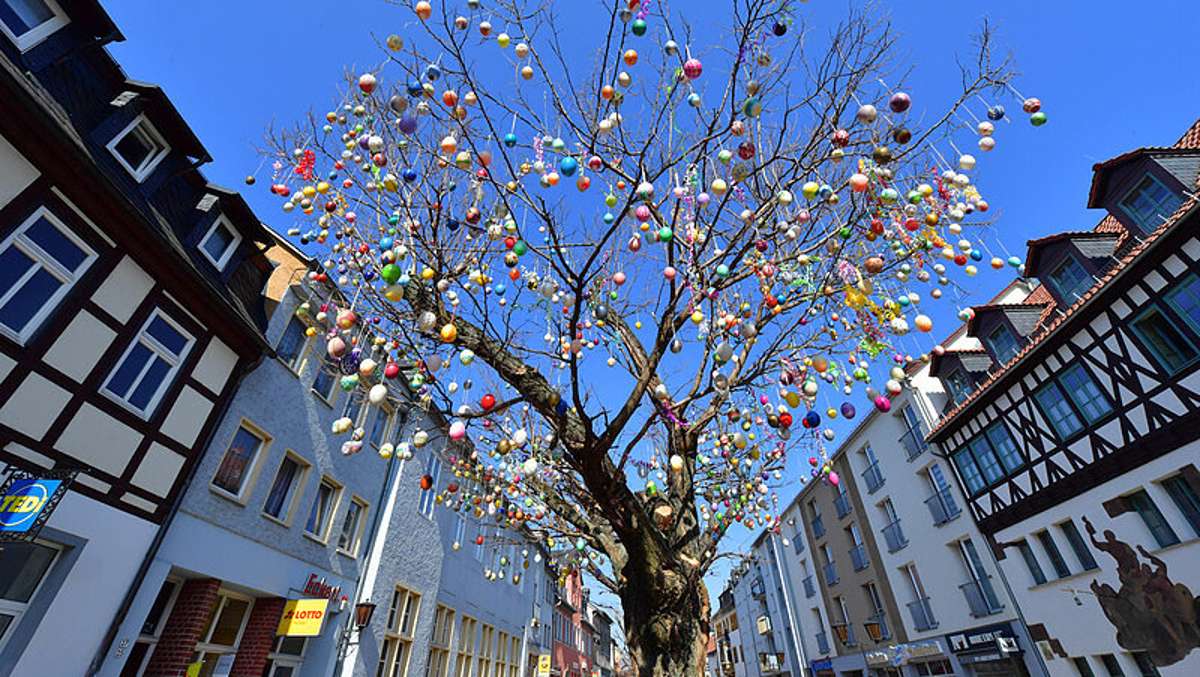 Thüringen: Saalfelder Ostereierbaum letztmalig in der Altstadt