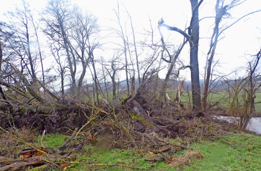 Am Ufer der Felda im Bereich Lindenau und Glattbach liegt auf mehreren hundert Metern jede Menge umgebrochenes Holz auf landwirtschaftlichen Flächen. Foto: Jürgen Körber