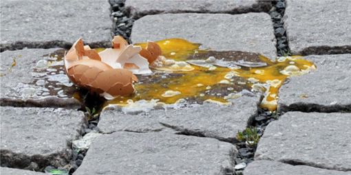Unbekannte haben das Landratsamt in Hildburghausen mit Eiern beworfen. - Symbolfoto Foto: picture alliance/dpa