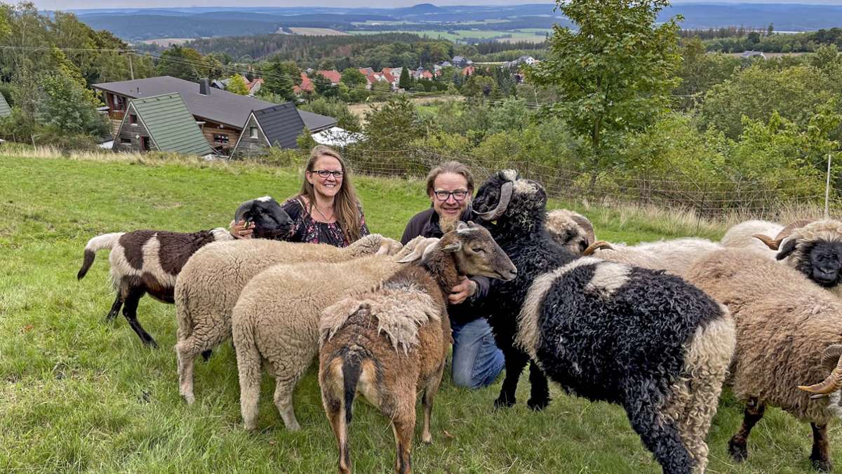 Diesen Sonntag: Ein Besuchertag mit Schafen und Ponys