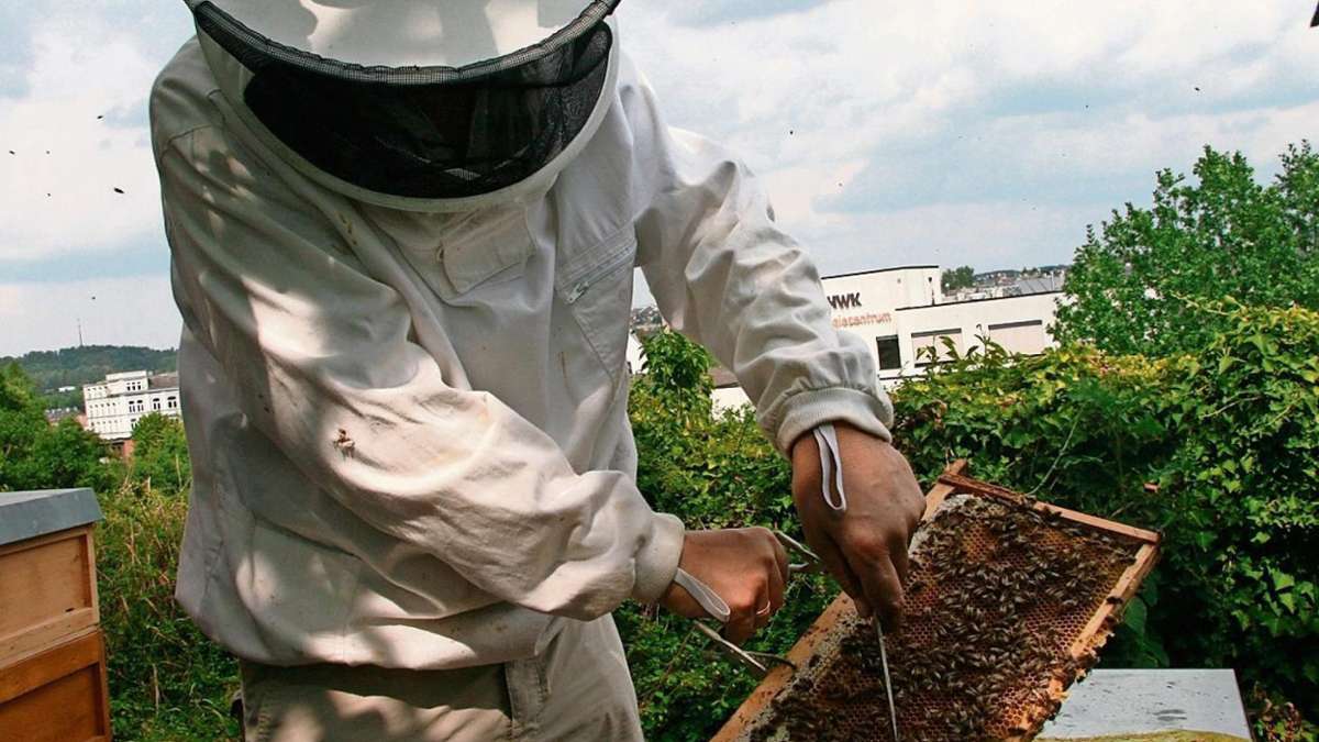 Hildburghausen: Damit Bienen ihre Arbeit verrichten können