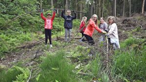 Schüler räumen Viernauer Wald  auf