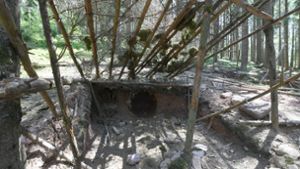Illegales Bauwerk im Wald gibt Rätsel auf