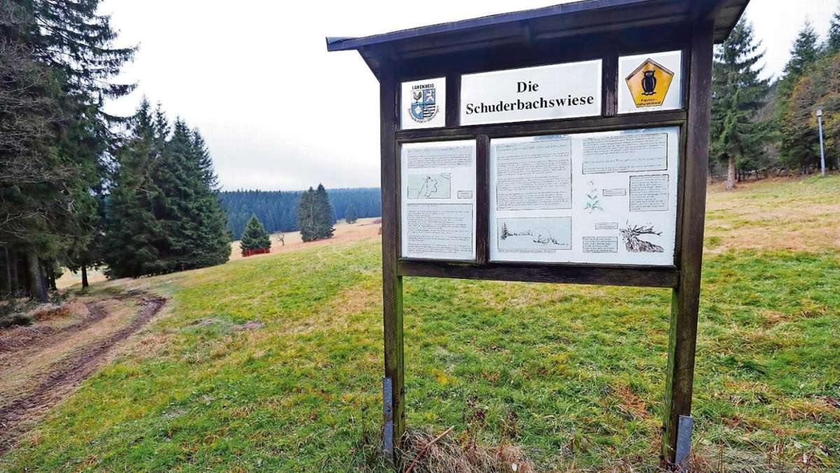 Suhl/ Zella-Mehlis: Schuderbachswiese: Ein Schatz vor der Haustür