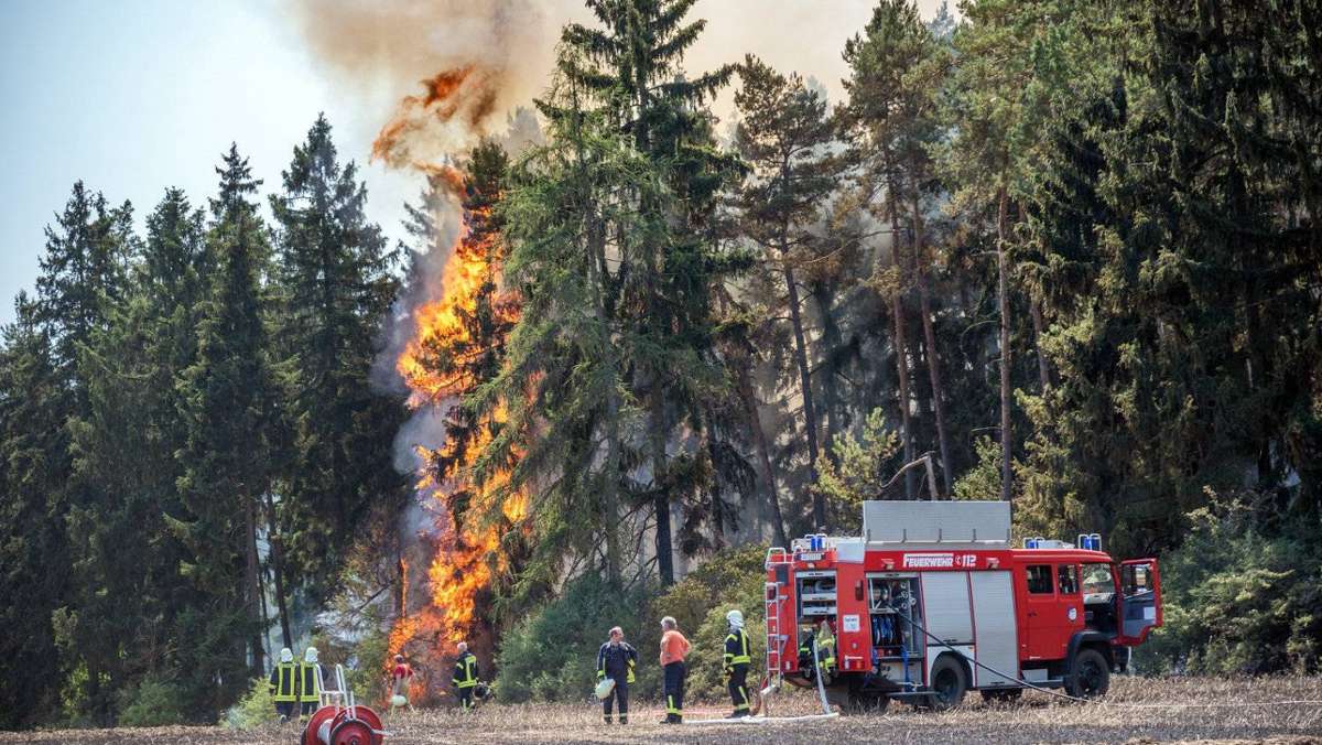 Thüringen: Waldbrand im Weimarer Land hält Feuerwehren in Atem