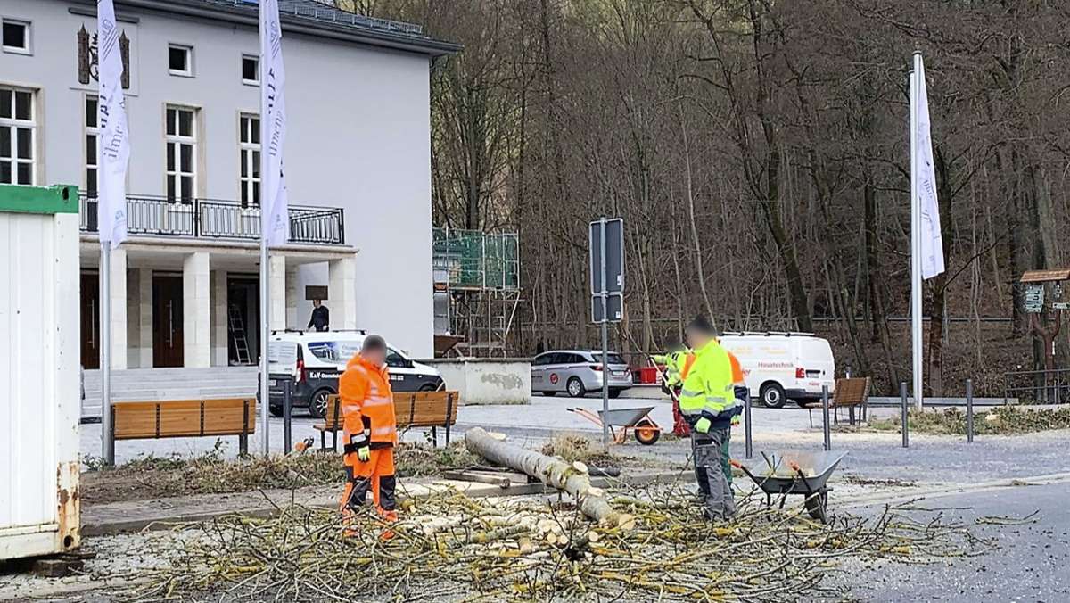 In Ilmenau: Bäume vor Festhalle gefällt