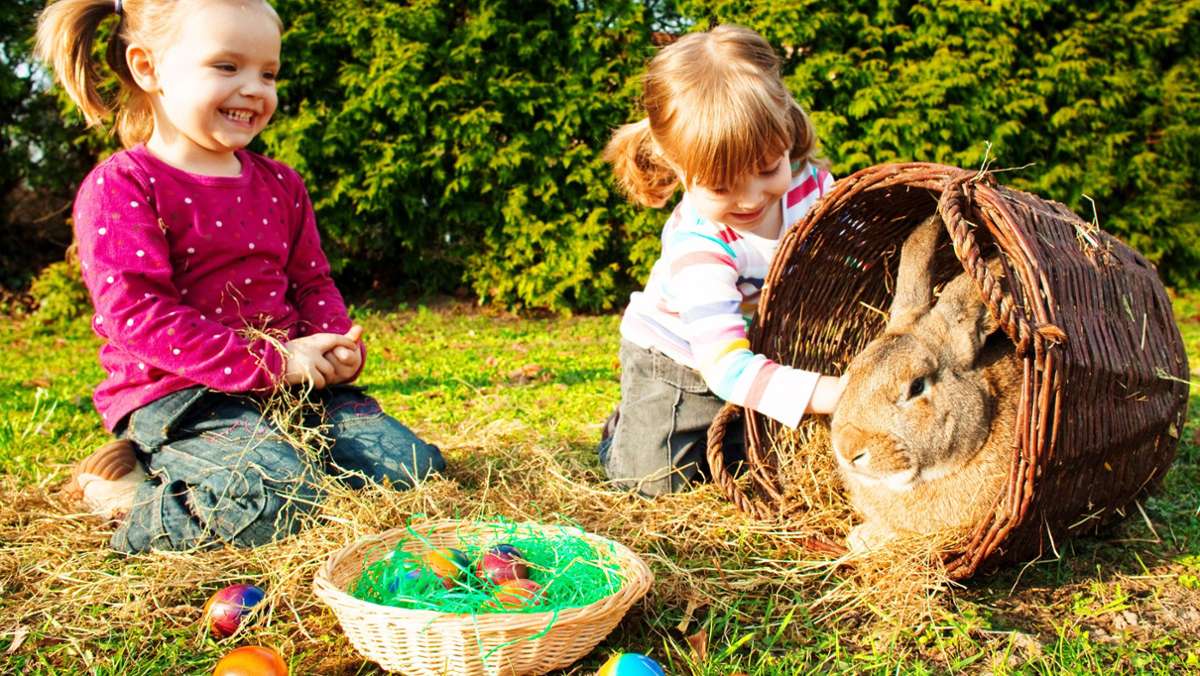 Eier färben, Schokohasen, Osterfeuer: Mit diesen Tipps können Sie Ostern nachhaltig feiern
