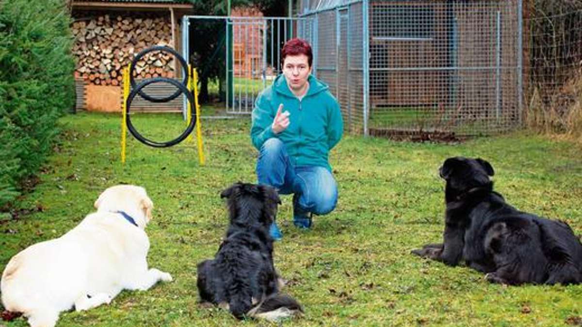 Meiningen: Schule für Mensch und Hund