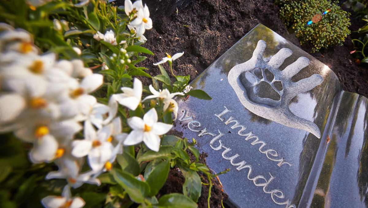 Thüringen: Erste Mensch-Tier-Bestattungen in Thüringen und Grabstein-QR-Code