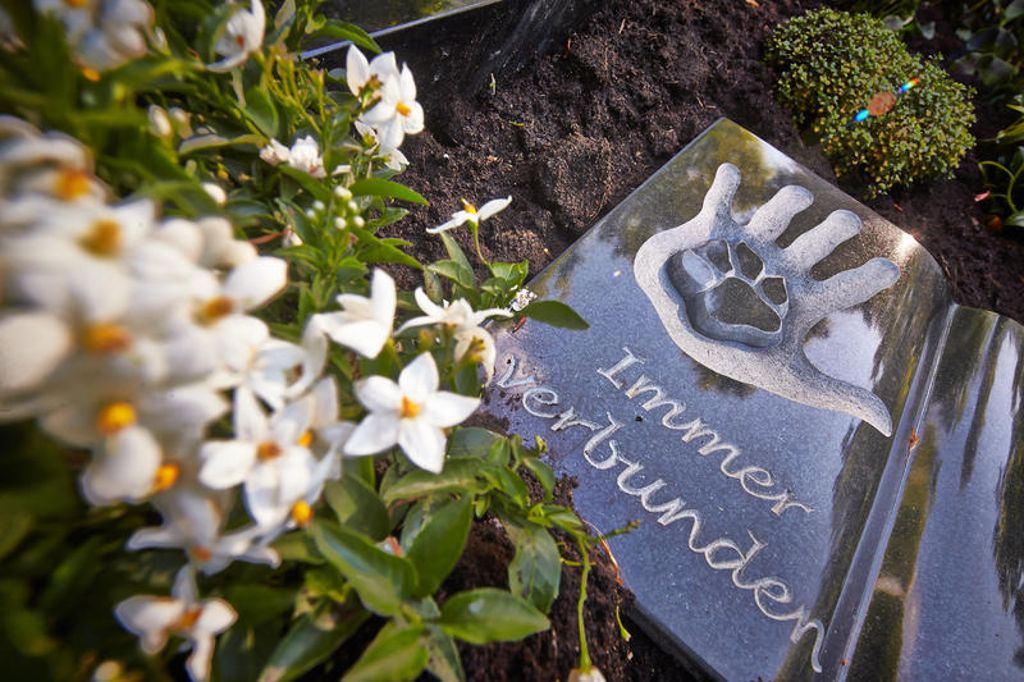 Ein Mustergrabstein mit einer stilisierten Hand und einer Pfote ist  in Braubach-Dachsenhausen (Rheinland-Pfalz) auf dem ersten Friedhof, auf dem Mensch und Tier gemeinsam bestattet werden können, zu sehen. Foto: Thomas Frey, dpa