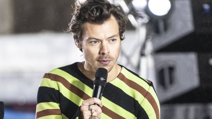 Harry Styles: Popstar unterbricht Londoner Konzert –  um einem Fan zu helfen