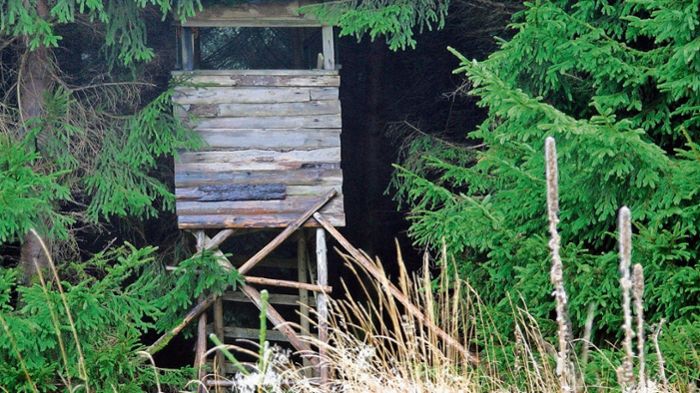 Jagdkanzeln von Unbekannten im Revier Glasbach zerstört