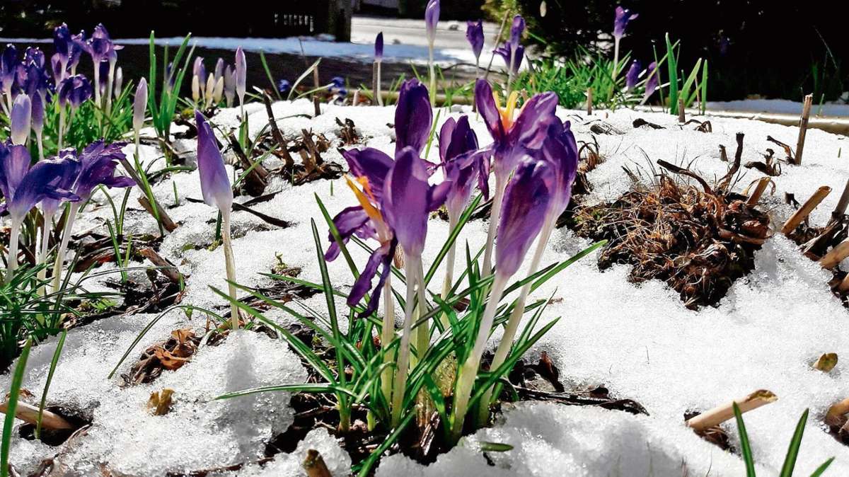 Ilmenau: Nach frühlingshaftem Wochenende meldete sich Winter einmal kurz zurück