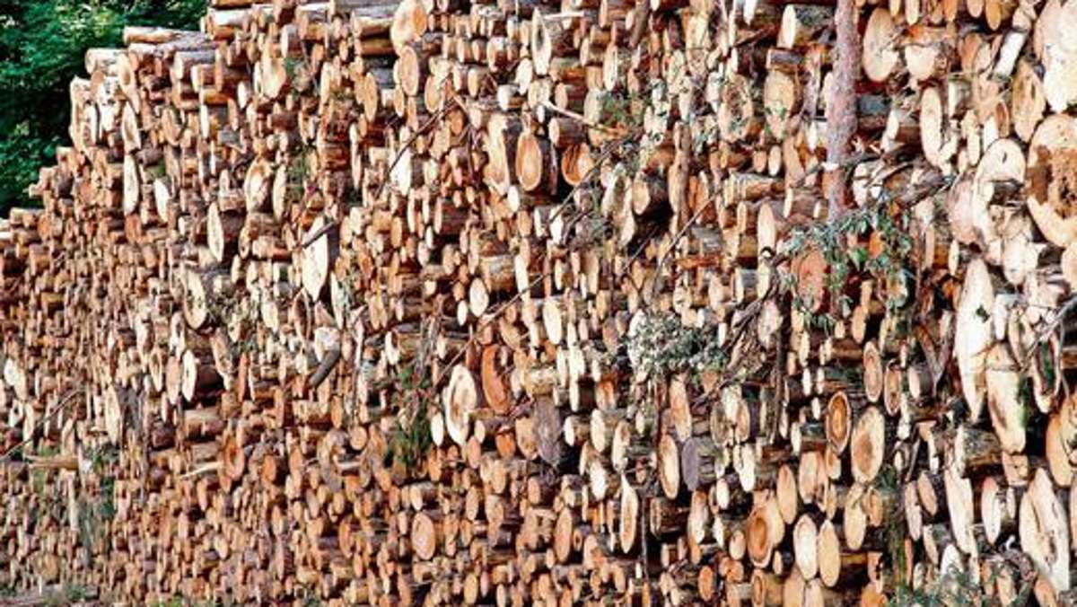 Schmalkalden: Fuderweise Holz aus Stadtwald