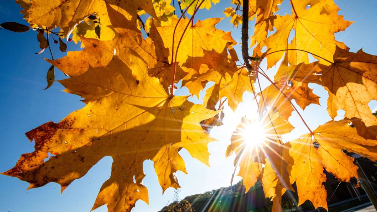 Herbst in Deutschland: So wird das Wetter in den kommenden Tagen