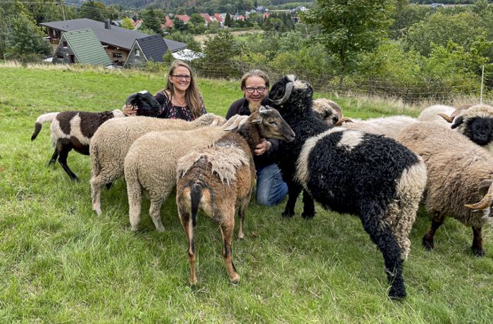 Helfer suchen Hilfe: Kranke Schafe reißen  ein Loch in die Kasse