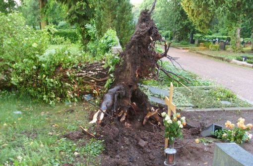 Das Unwetter hat unter anderem Schäden auf dem Eisenacher Hauptfriedhof hinterlassen. Foto: Nicole Lehmann