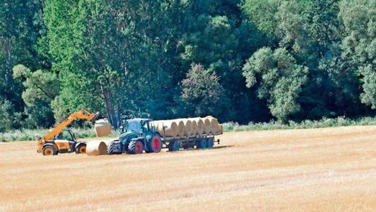 Ilmenau: Getreideernte im Ilm-Kreis unter Dach und Fach