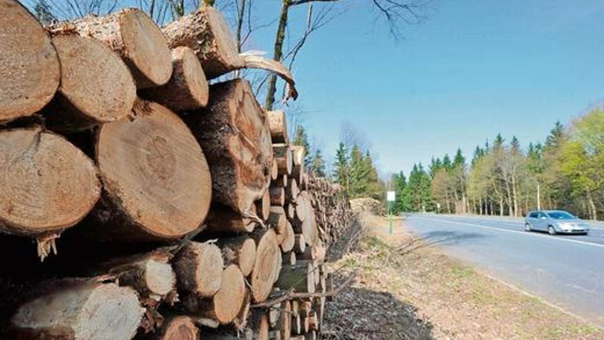Thüringen: Forst macht Gewinn und spart beim Personal