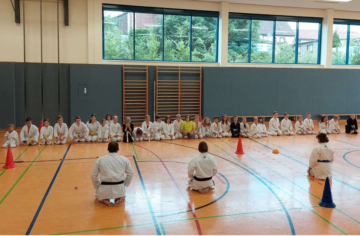 Die Kinder beim Angrüßen zum Training. Foto: Karate-Verein Geratal.