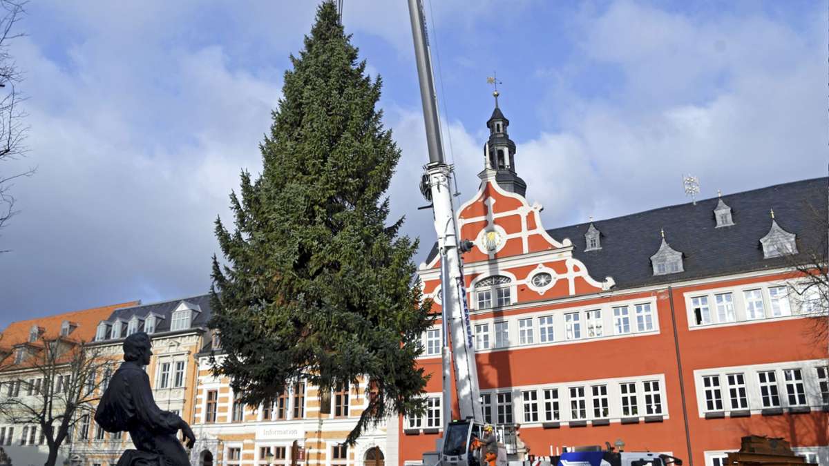 Es weihnachtet: Der Arnstädter Weihnachtsbaum ist eingeschwebt