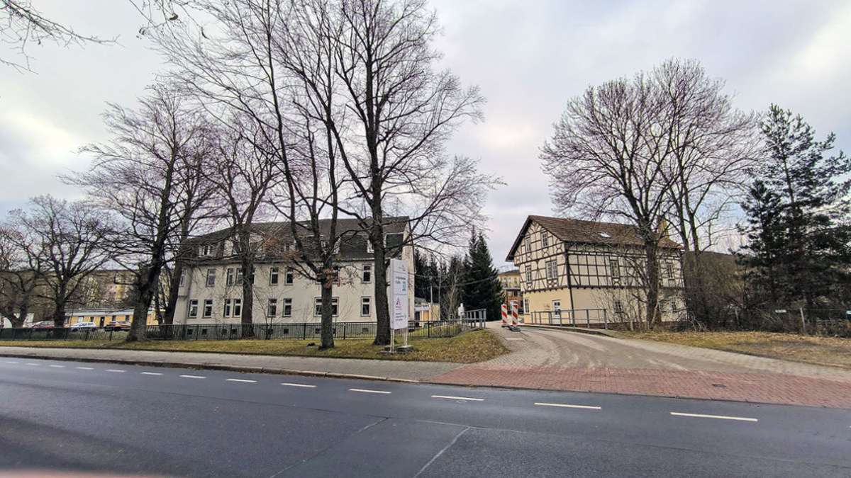 Protest in Ilmenau: Offener Brief und Petition gegen Baumfällungen