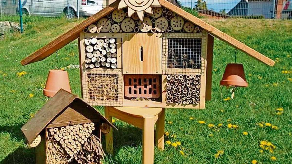 Schmalkalden: Aufruf: Bauen Sie ein Insektenhotel für die Bienen