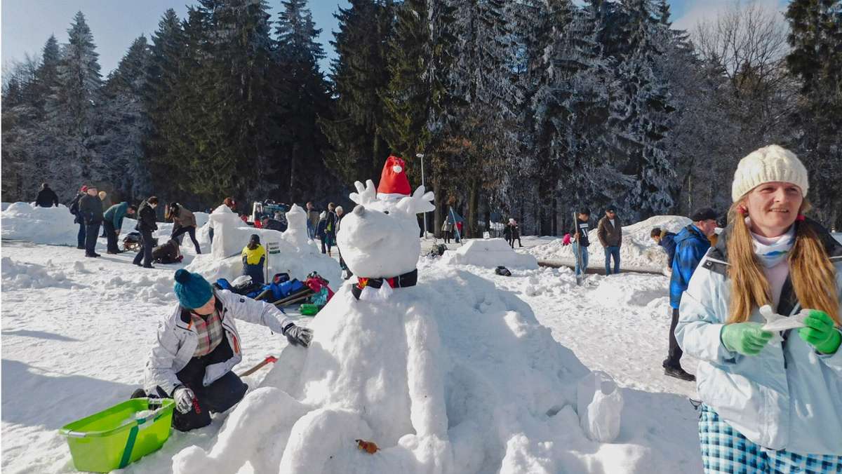 TV-Dreh in Schmiedefeld: Ort wird zum Schneeskulpturenpark