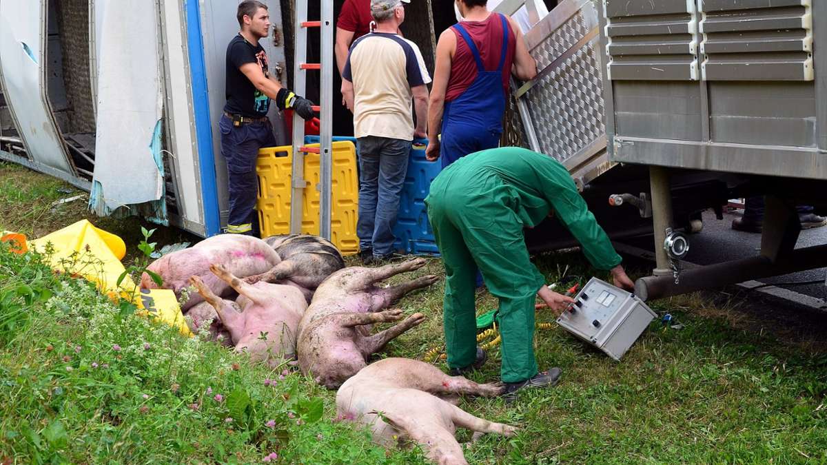 Thüringen: Anhänger eines Tiertransporters kippt auf Bundesstraße um