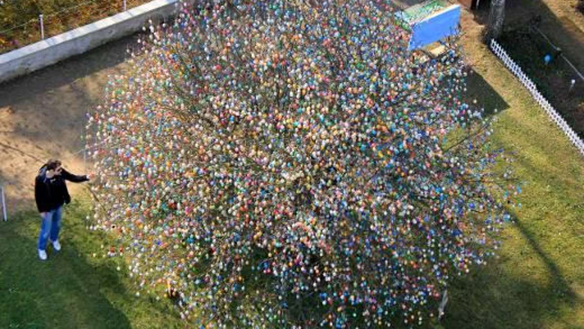 Sonneberg/Neuhaus: 10 000 Eier am weltweit bekannten Osterbaum