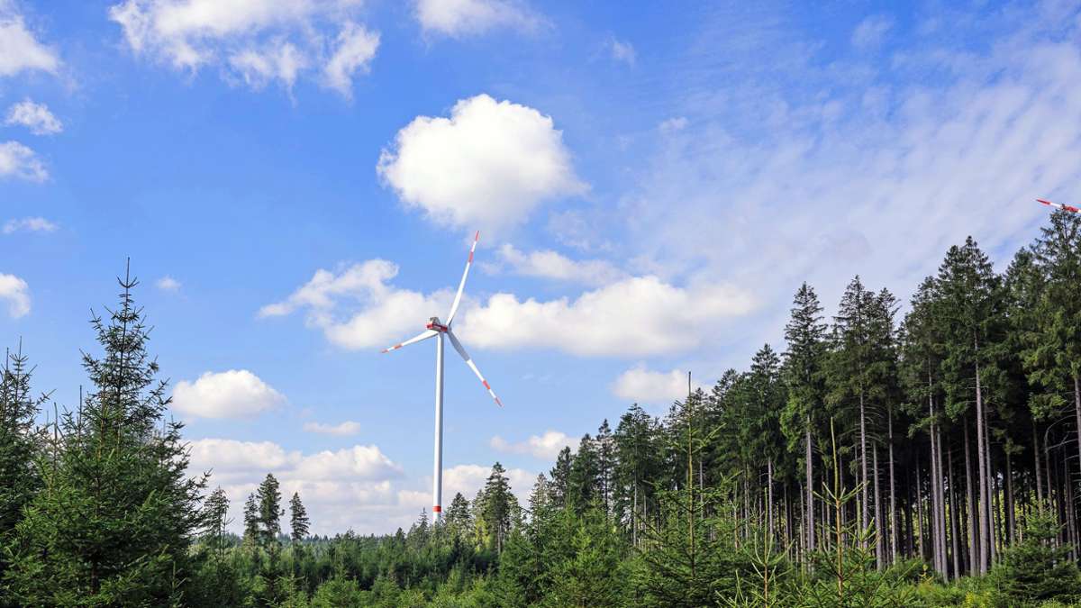 Windkraft: Kreistag fordert: Hände weg von unserem Wald!