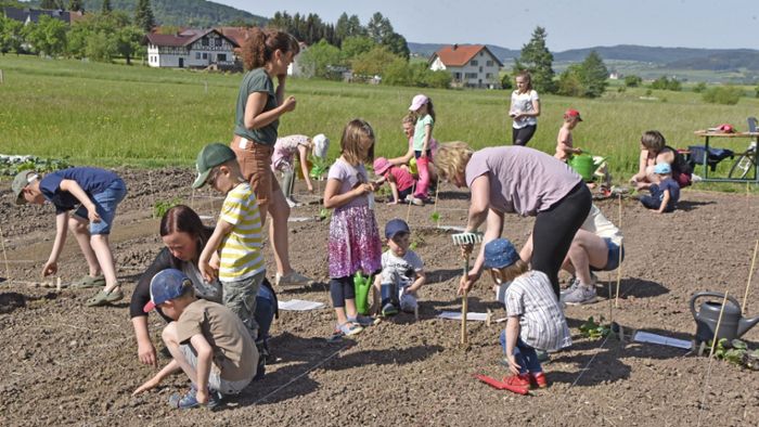 Kindergarten Bremen (Rhön): Gemüse zum Knuddeln  und   auf dem Acker