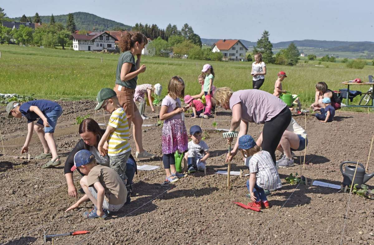 Gemeinsam brachten Kinder und Erwachsene am Donnerstag Pflanzen und Saatgut in die Erde des Ackers.