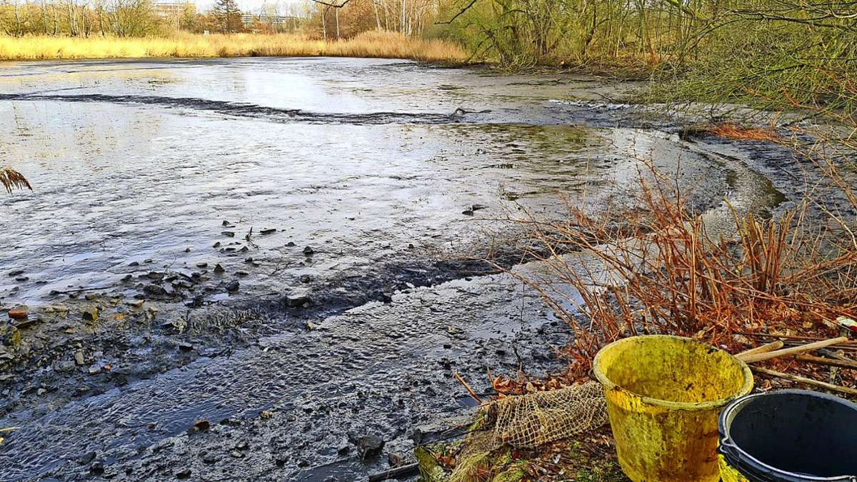 Naturschutz: Warum steht der Neuhäuser Teich in Ilmenau leer?