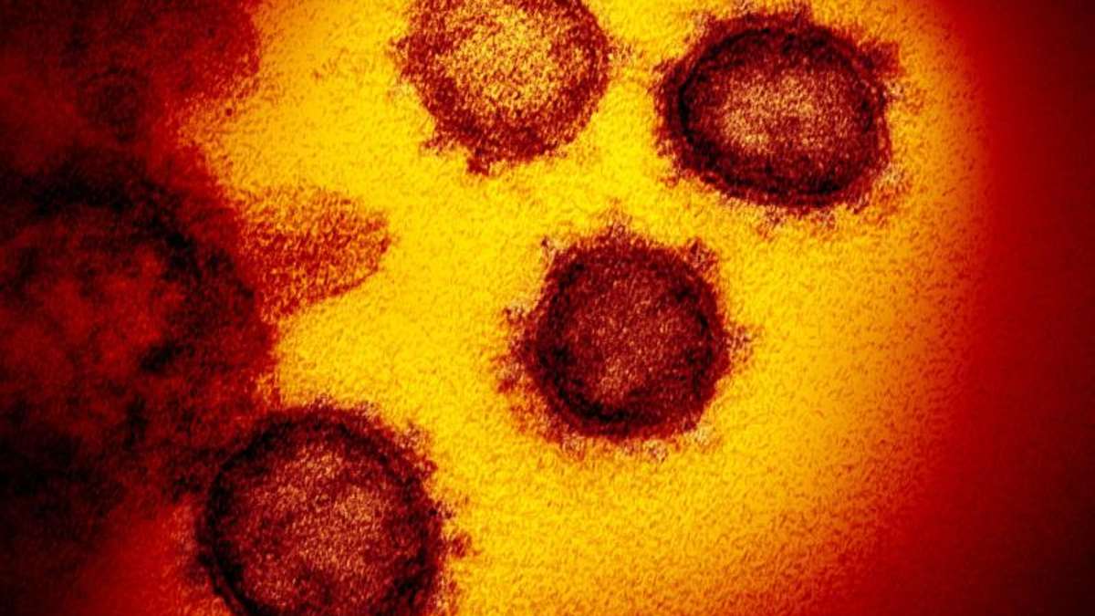 Sonneberg/Neuhaus: Drei weitere COVID-19 Infektionen im Landkreis Sonneberg bestätigt