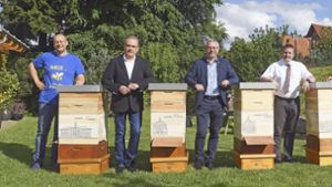 Imker setzt auf Bienenfleiß der Bürgermeister: Die fürs  Oberzentrum schwärmen