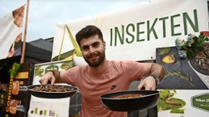 Street Food Festival Suhl: Mehlwürmer  und  Krokodil-Burger