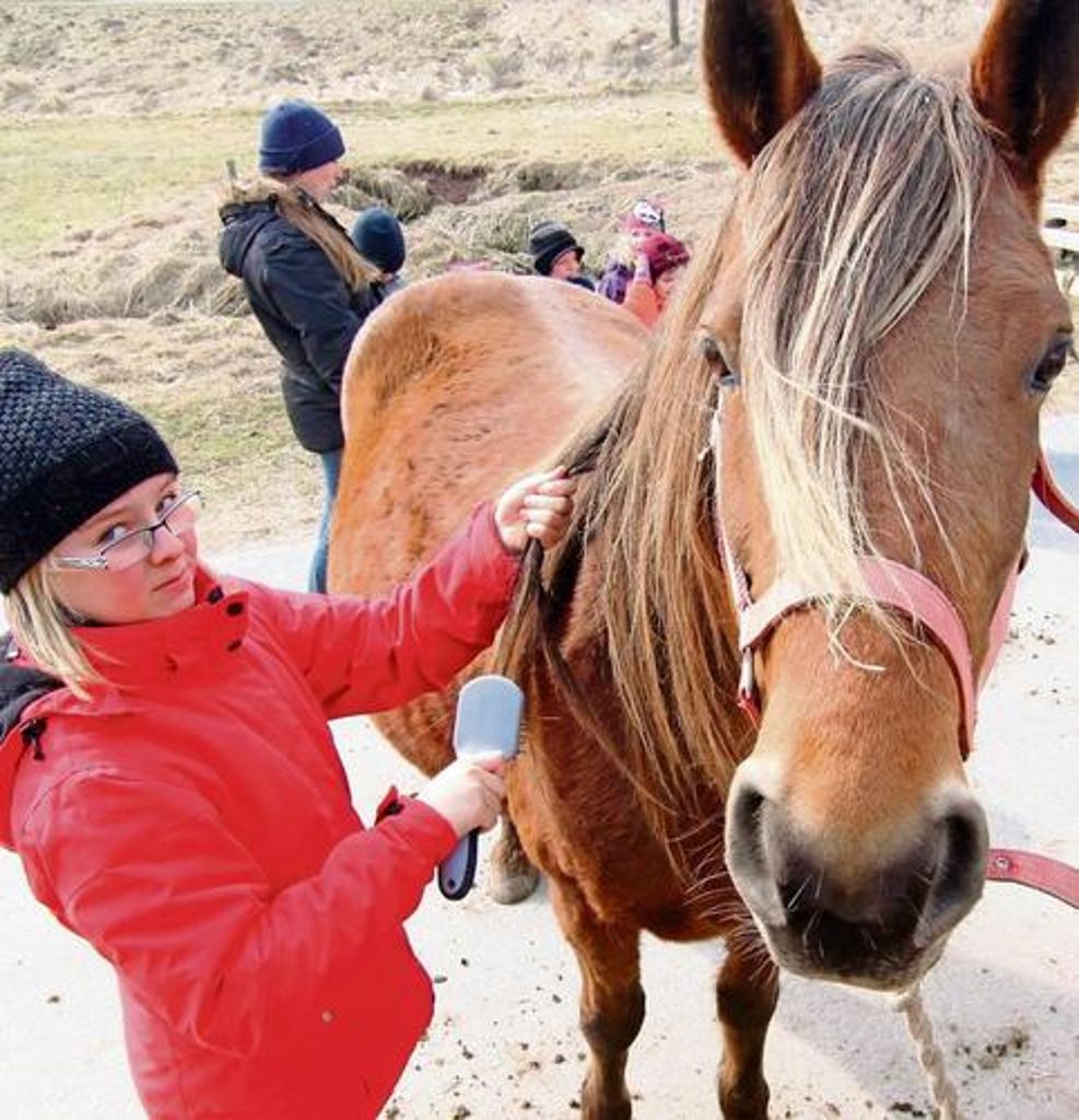 Reiten lernen, Wissenswertes über Pferde erfahren und Gleichgesinnte treffen - all das bietet das Projekt "VFD Kids" Kindern und Jugendlichen. 	Foto: J. Glocke Quelle: Unbekannt