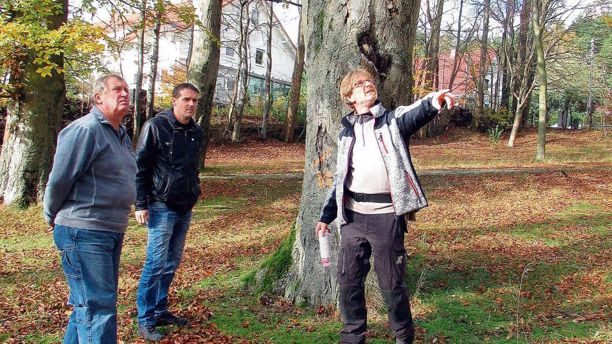 Ilmenau: Im Morbacher Park müssen Bäume weichen