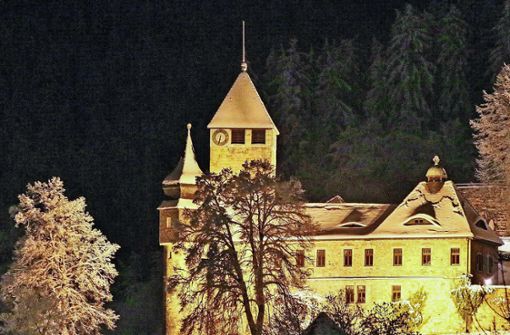 Schloss Elgersburg bietet im Winter einen verzauberten Anblick. Foto: Klaus-Ulrich Hubert