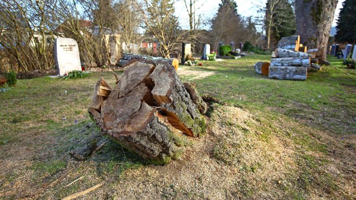 Tiefe Fahrrinnen und ein beschädigtes Grab auf dem Friedhof