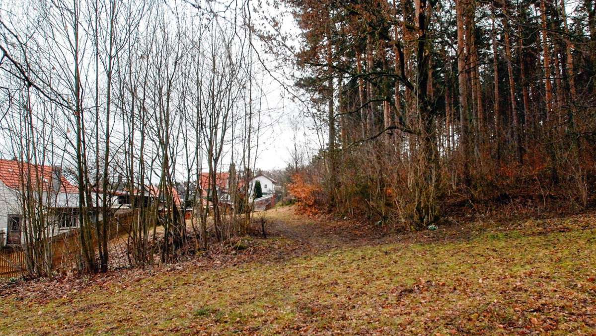 Ilmenau: Frankenhain plant einen Bestattungswald