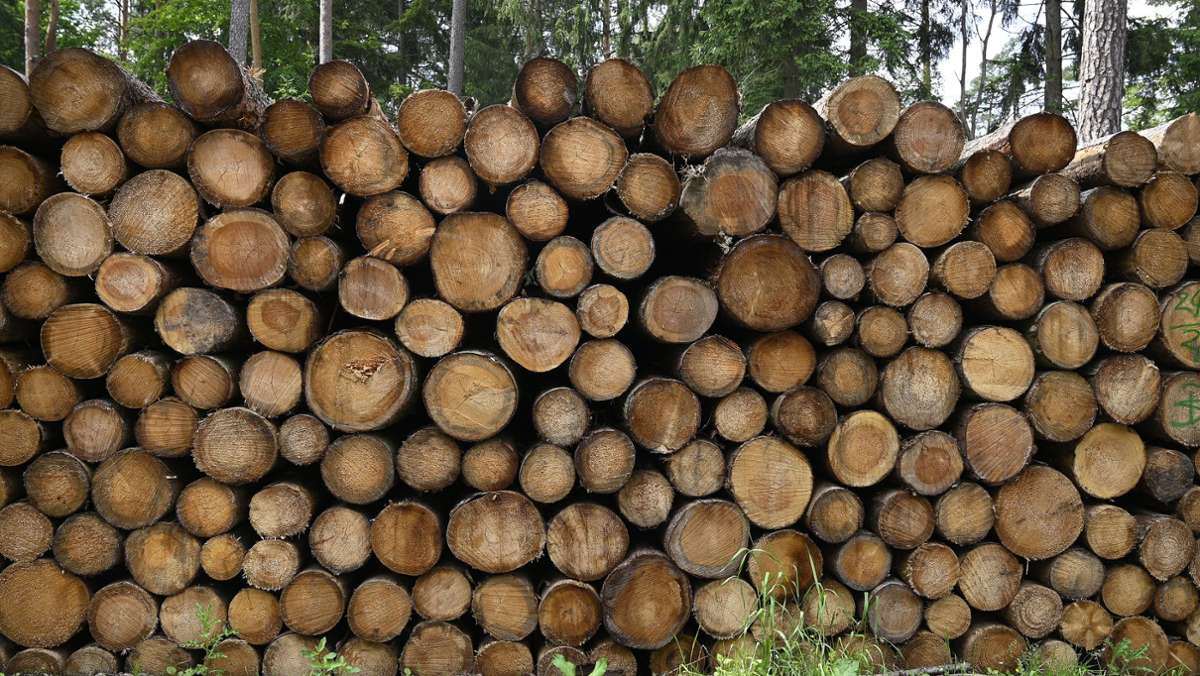 Forstwirtschaftspläne: Wals wirft keinen Gewinn mehr ab