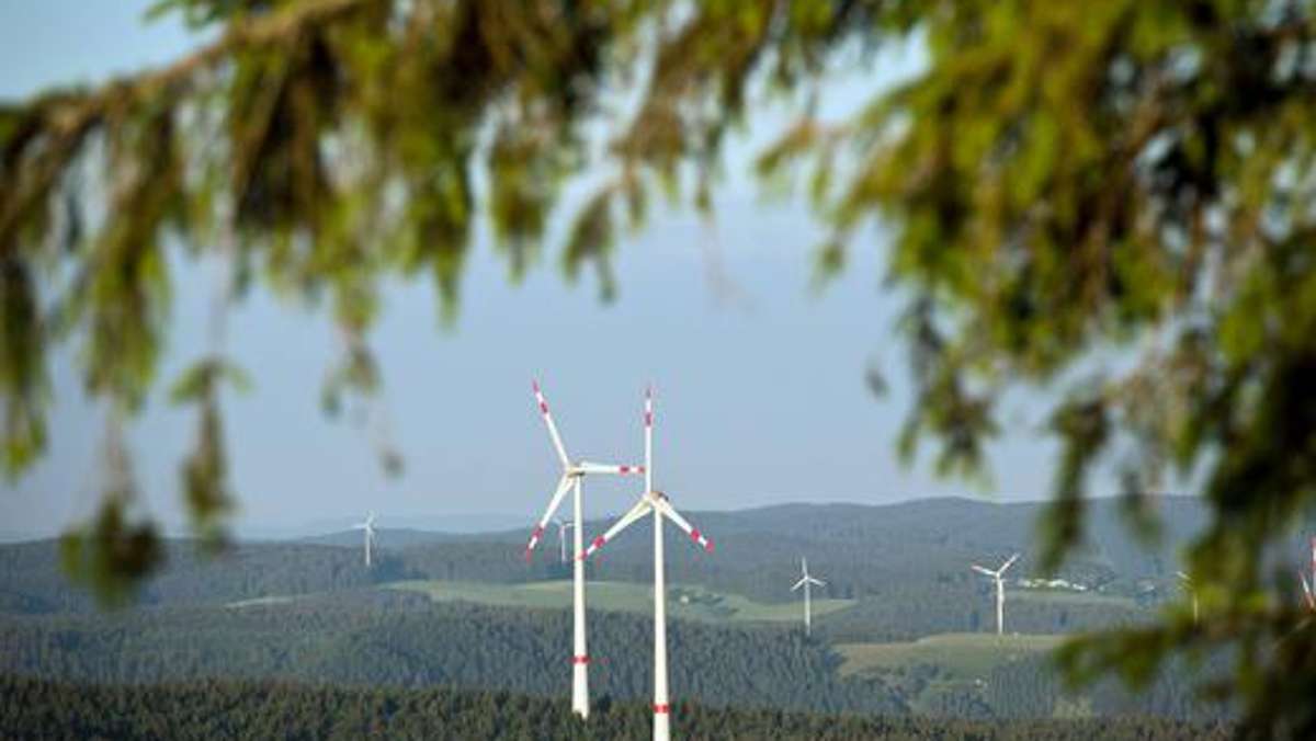 Thüringen: Grüne halten Windräder im Wald doch für möglich