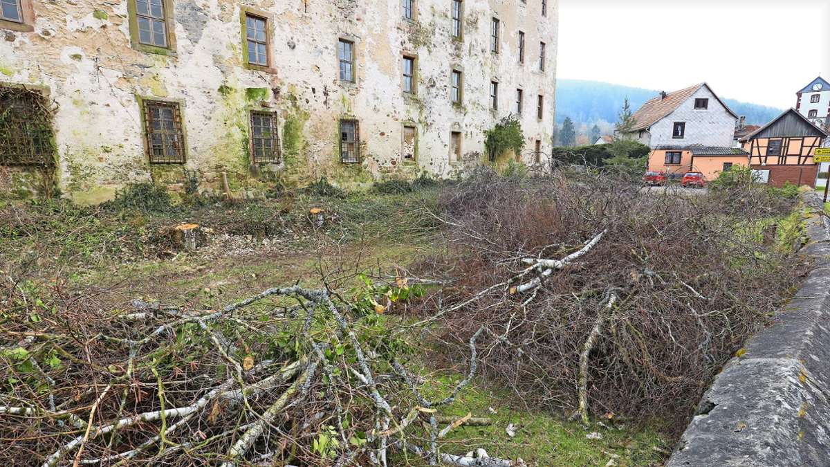 Aktion in Schwarza: Problembäume am Schloss gefällt